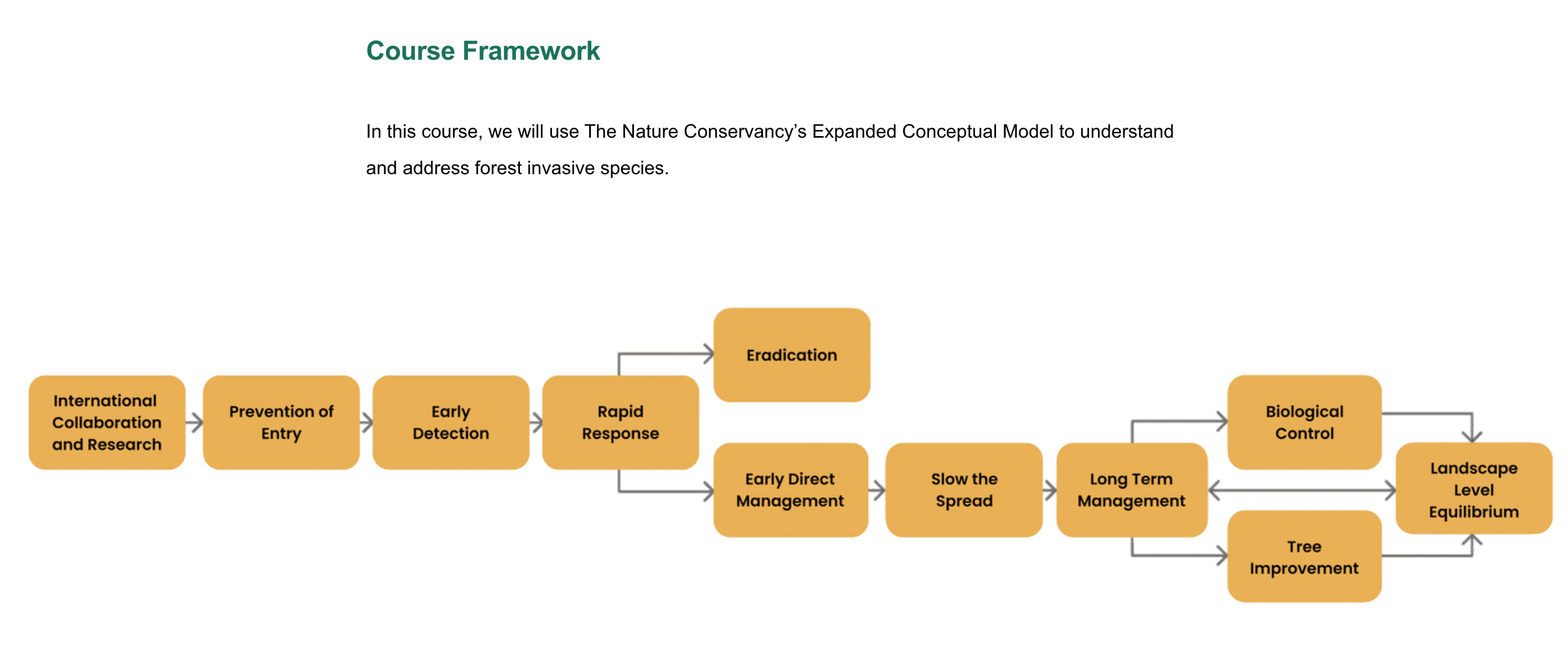 Flowchart: collaboration & research, prevention, early detection, rapid response, eradication, early management, slow the spread, long-term management, biological control, landscape-level equilibrium